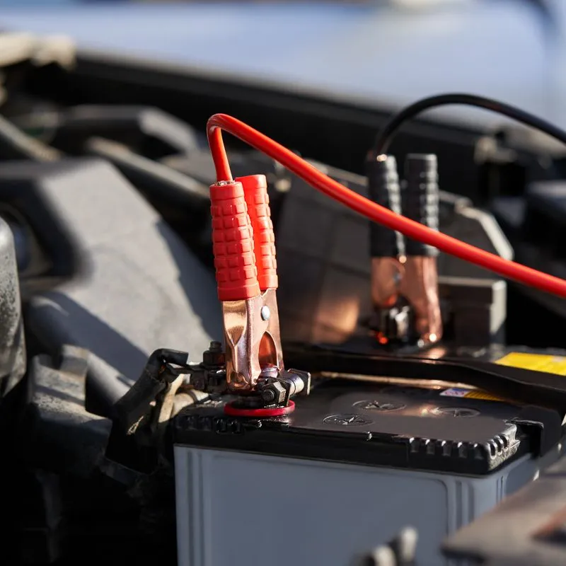 Провода прикуривания 100А, в чехле на молнии REXANT - Фото 2