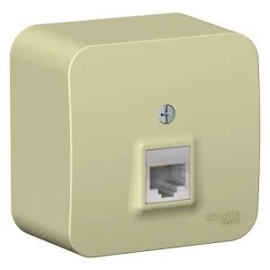 Розетка компьютерная 1-м ОП Blanca RJ45 кат.5E с изолир. пластиной беж. SE BLNIA045007 1272640