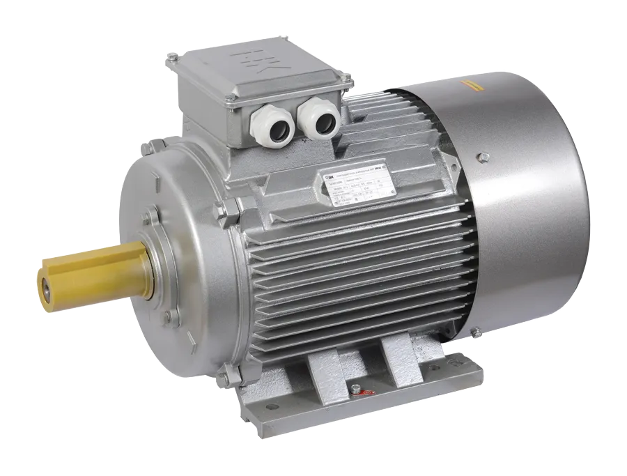 Электродвигатель асинхронный трехфазный АИР 315MA8 660В 110кВт 750об/мин 1081 DRIVE IEK