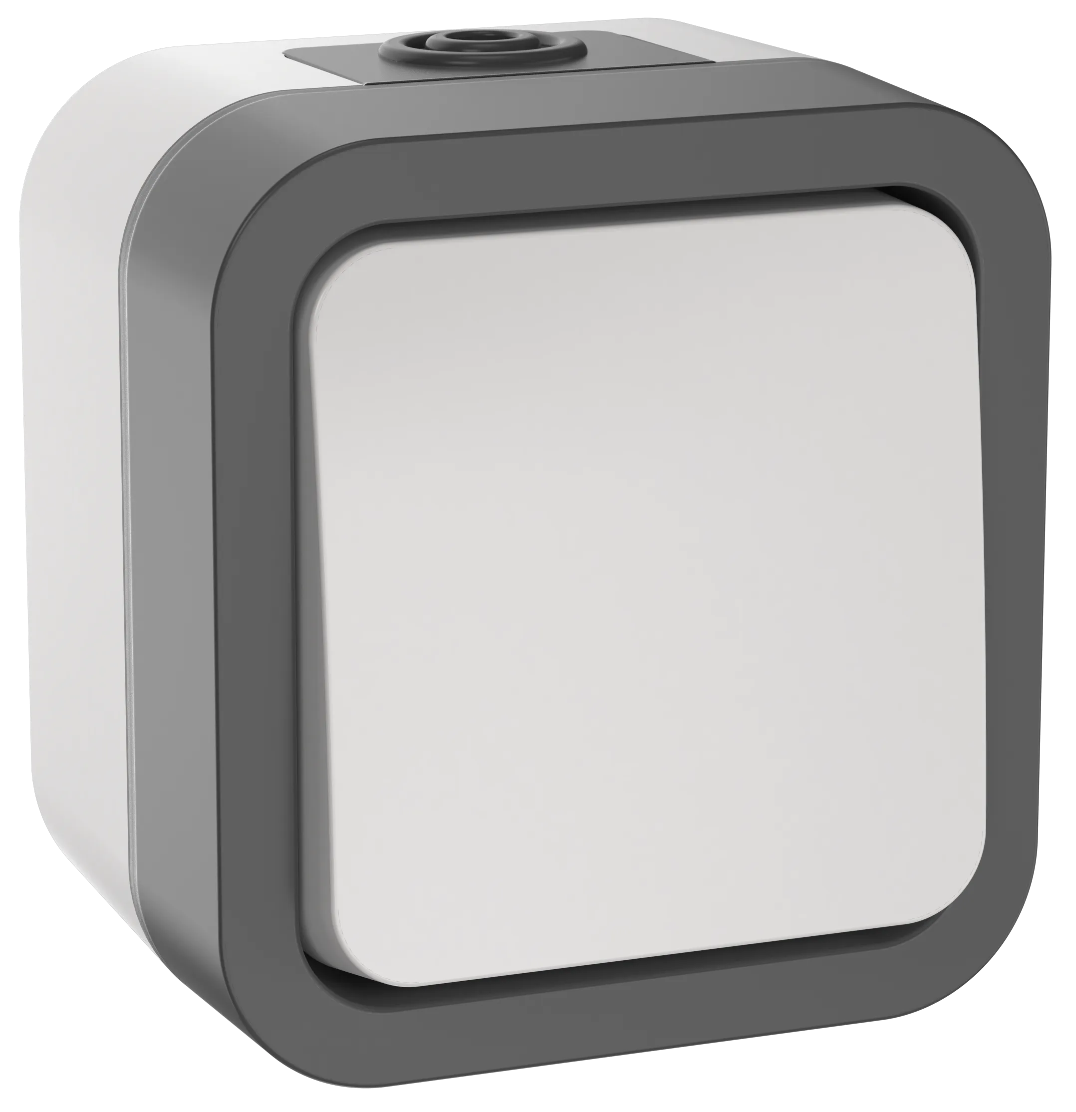 TORS Выключатель двухполюсный одноклавишный 10А IP55 TS211 серо-белый IEK TS-V16-0-10-55-K41