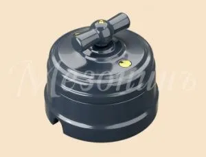 Выключатель ретро фарфоровый поворотный на четыре положения (2-х клавишн, в комплекте с подъемной GE70401-57