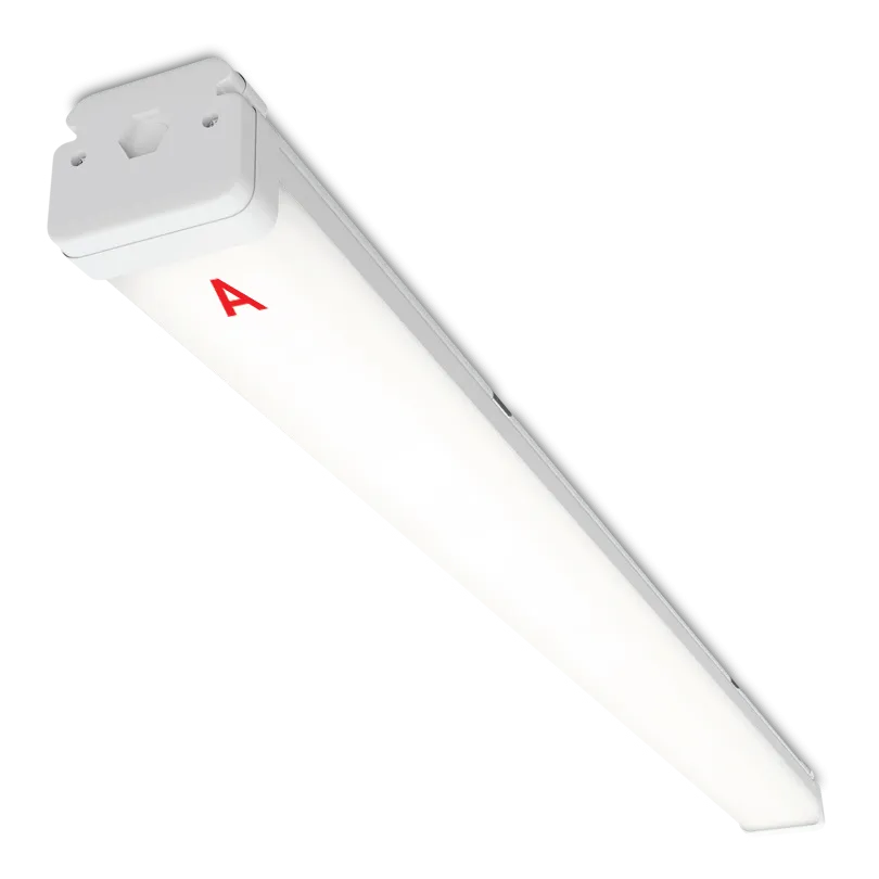 Светильник WOLTA PRO НеоПРОМ ДСП05-54-041-5К с БАП EM1 54Вт 5000K IP67 Матовый