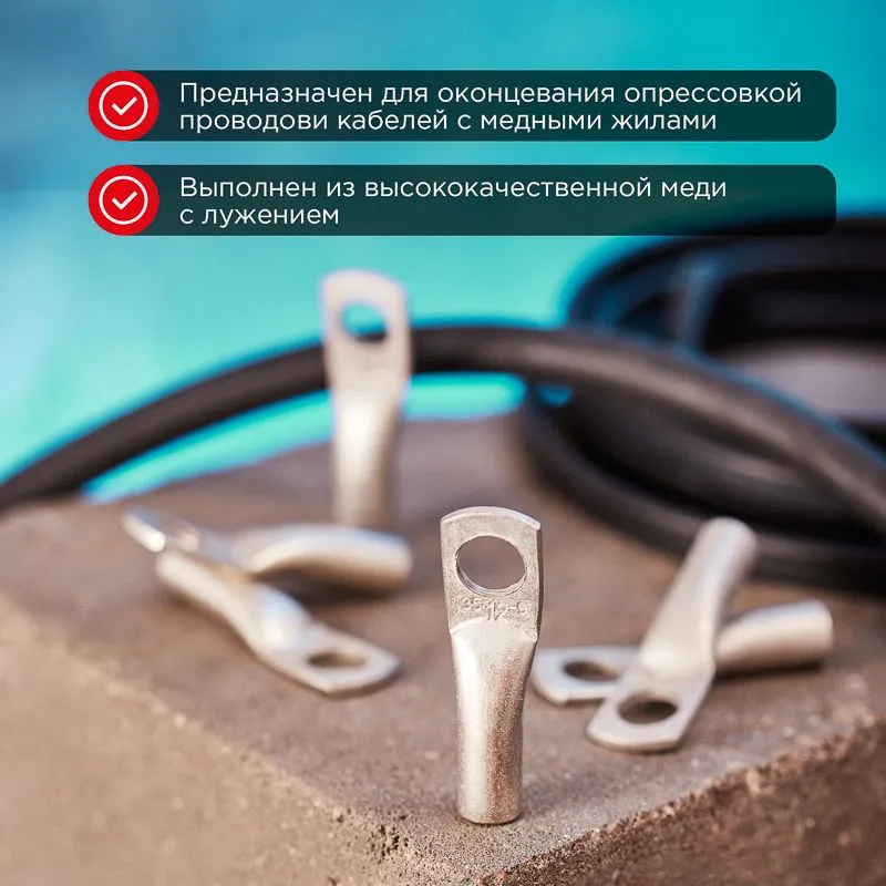 Наконечник медный луженый ТМЛ-Р 2,5–6 (2,5мм² - Ø6мм) (в упак. 100 шт.) REXANT - Фото 2