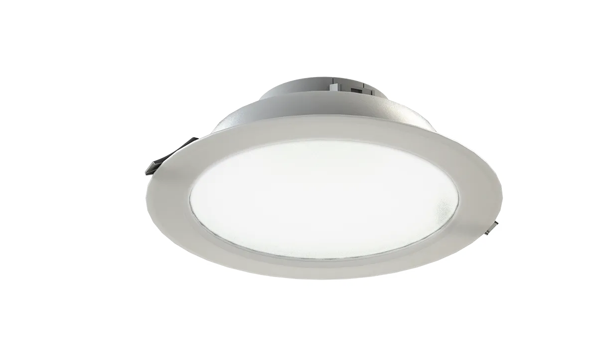 Светильник Radian 25 NEW/23/Д/4,0К/03/220AC IP40 LEDEL 203302300843400