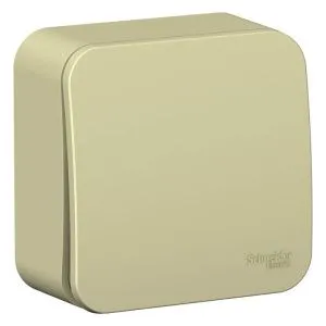 Выключатель 1-кл. ОП Blanca 10А (сх.1) с самовозвратом с изолир. пластиной беж. SE BLNCA101017 520065