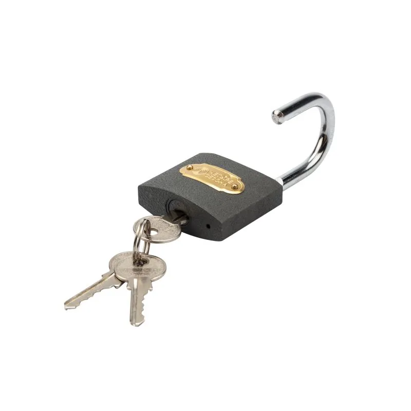 Замок навесной серия «Чугун» 50 мм ЧЕТЫРЕ СЕЗОНА - Фото 4