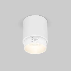 Накладной светодиодный светильник Cors 25032/LED 10W 4200K белый Elektrostandard a062385