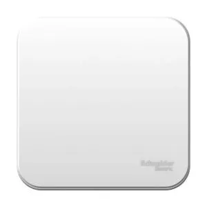 Выключатель 1-кл. ОП Blanca 6А IP20 (сх. 1) 250В с металлич. пластиной бел. SE BLNVA061021 1210435
