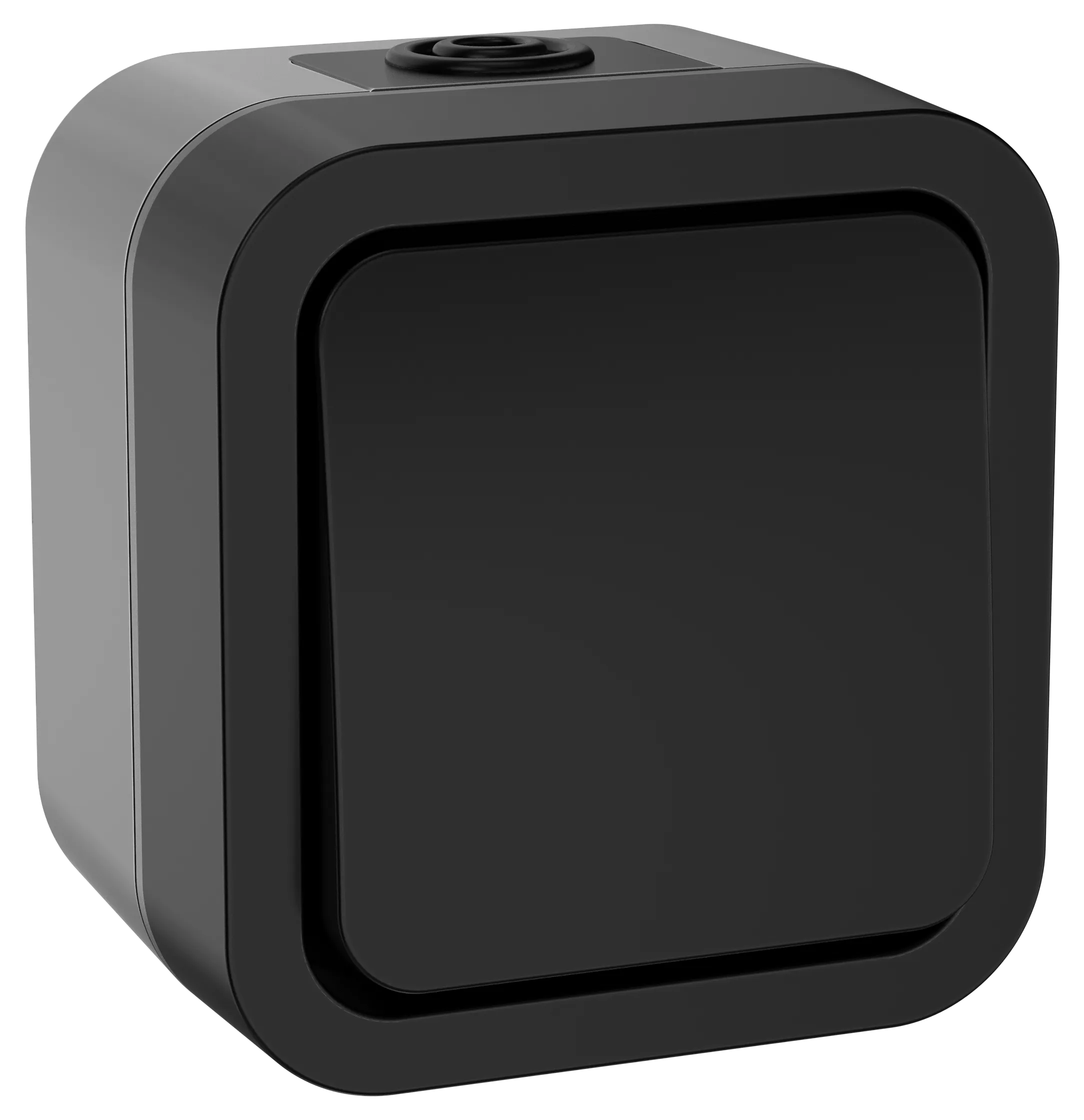 TORS Переключатель одноклавишный 10А IP55 TS101 графит IEK