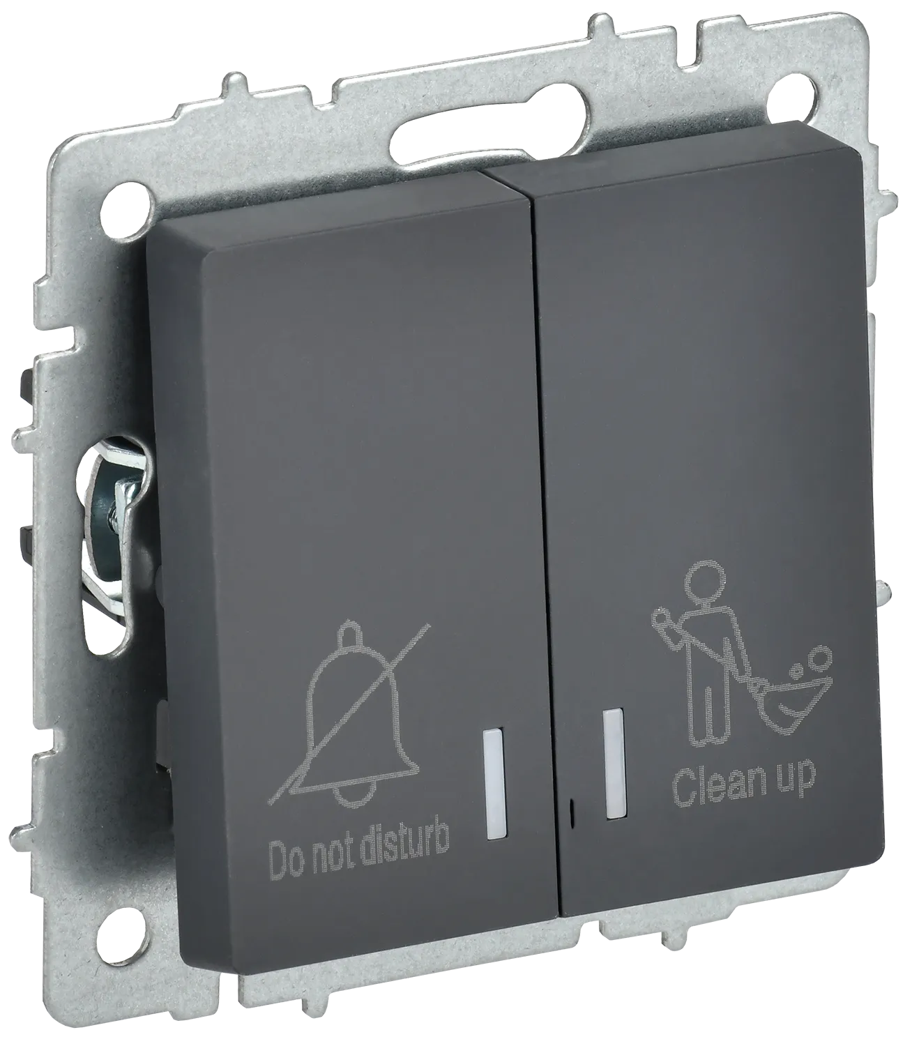 BRITE Выключатель 2-клавишный с индикацией для отелей 10А ВС10-2-9-БрГ графит IEK BR-V20-2-10-K53