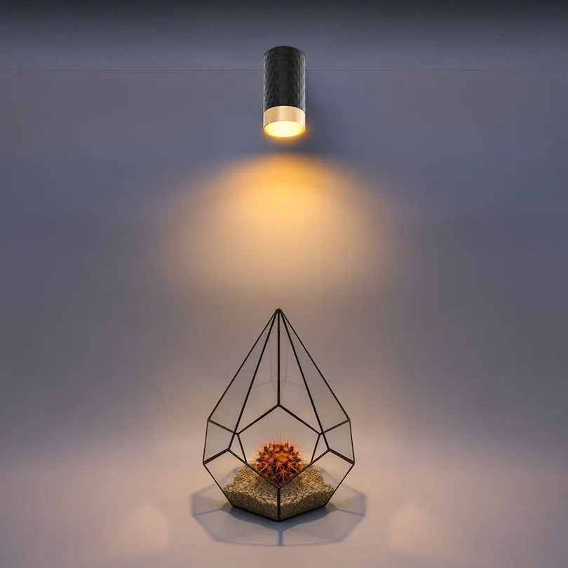 Накладной светильник WOLTA WSL-GU10/10BG IP20 под лампу GU10 Чёрный/золото CELLA D55x100 1/100 - Фото 2