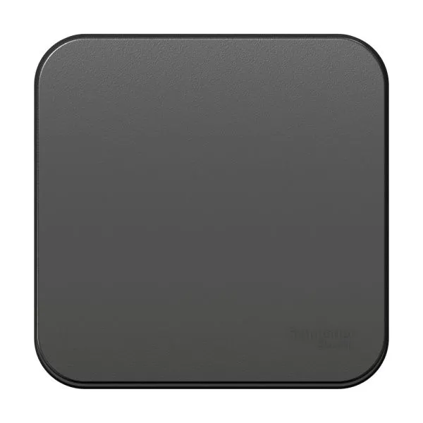 Переключатель проходной 1-кл. ОП Blanca 10А IP20 (сх. 6) 250В с изолир. пластиной антрацит SE BLNVA106016 - Фото 2