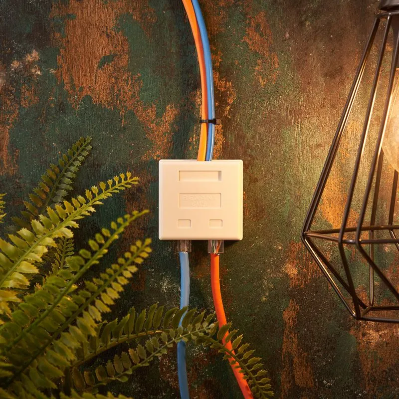 Розетка комбинированная внешняя, UTP RJ-45(8P8C) + RJ-11(6P-4C) REXANT - Фото 2