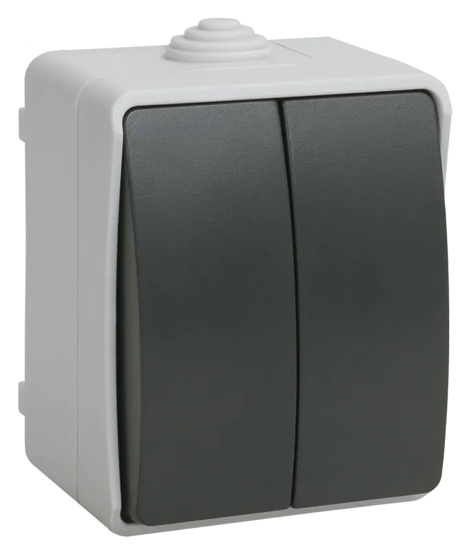 FORS Выключатель 2-клавишный для открытой установки 10А IP54 ВС20-2-0-ФСр серый IEK EVS20-K03-10-54-DC