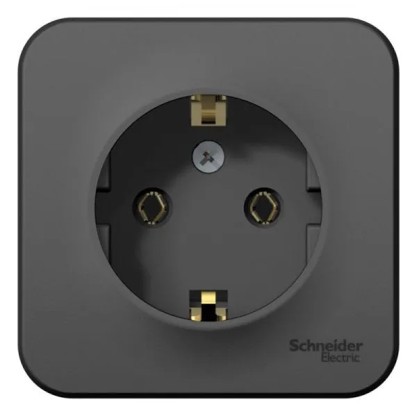 Розетка 1-м ОП Blanca 16А IP20 250В с заземл. без защ. шторок антрацит SE BLNRA010106