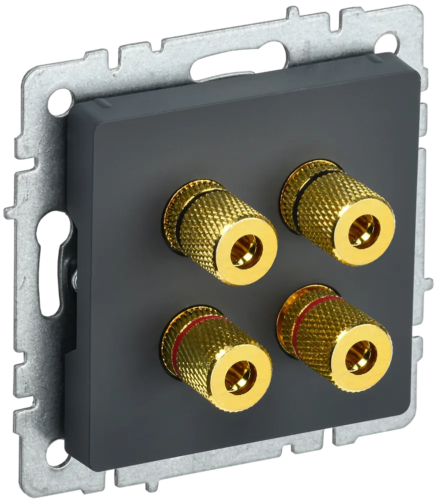 BRITE Аудиорозетка 4-местная РА10-БрГ графит IEK