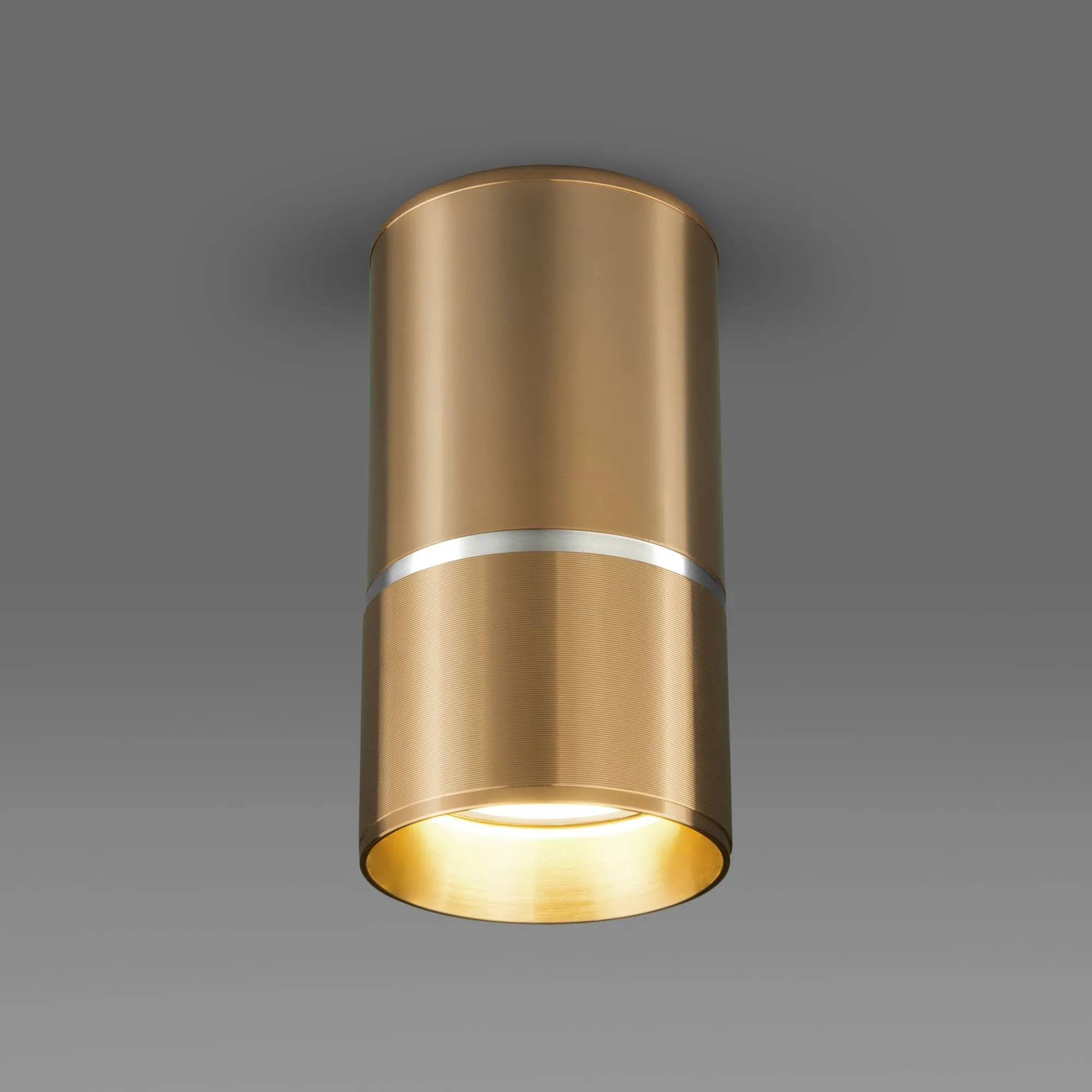 Светильник светодиодный акцентный DLN106 GU10 Elektrostandard