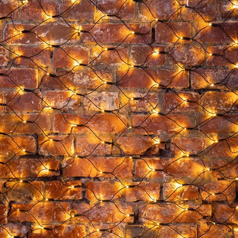 Гирлянда светодиодная Сеть 1х1,5м 160 LED ТЕПЛЫЙ БЕЛЫЙ черный ПВХ IP65 свечение с динамикой 230В блок в комплекте NEON-NIGHT 215-116