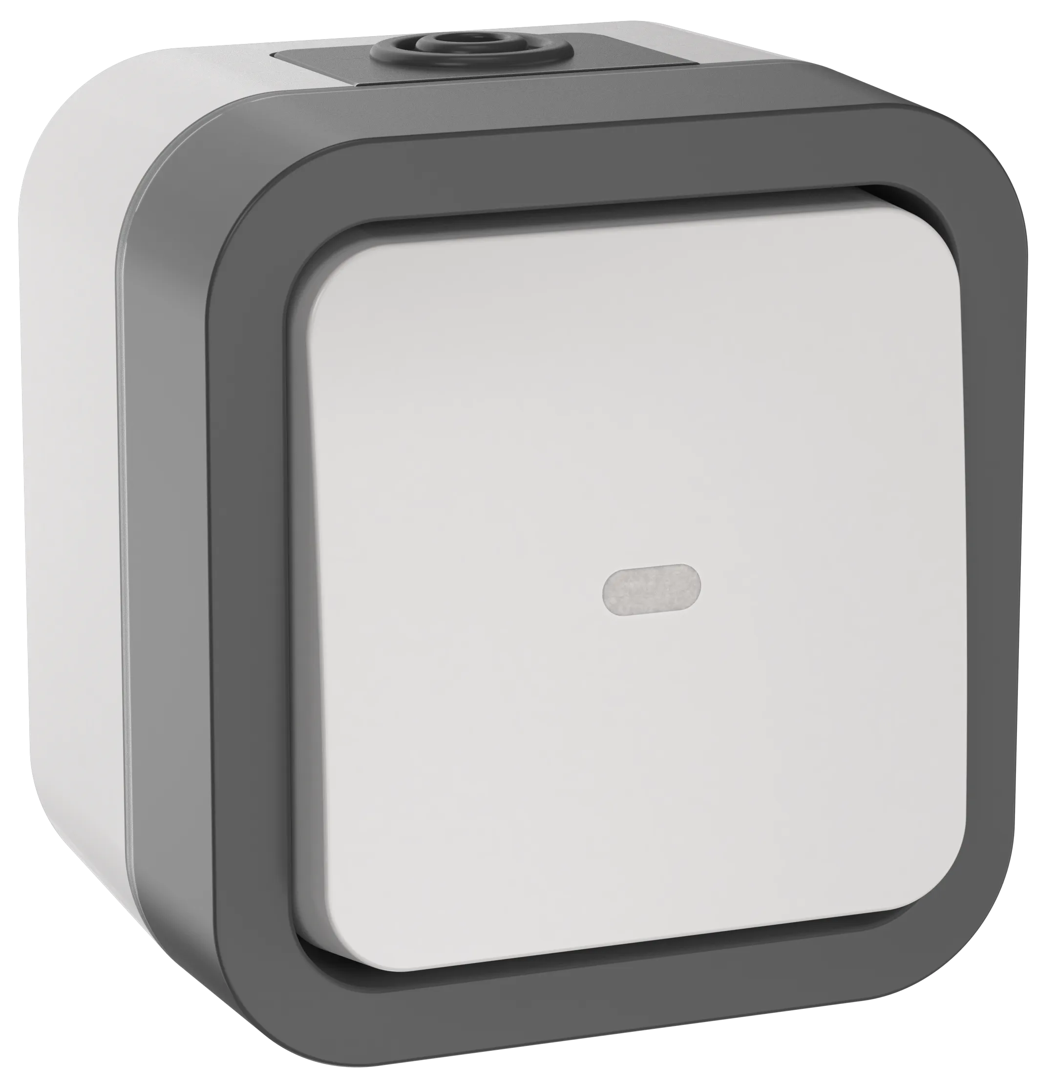 TORS Переключатель одноклавишный с индикацией 10А IP55 TS202 серо-белый IEK TS-V10-1-10-55-K41