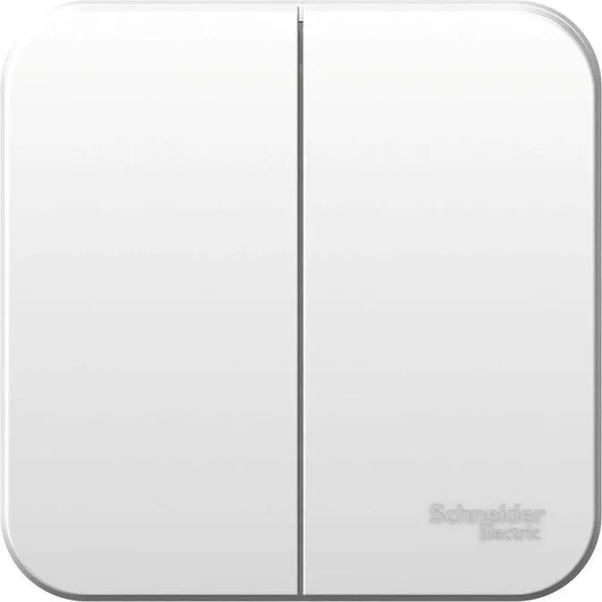 Выключатель 2-кл. ОП Blanca 6А IP20 (сх. 5) 250В бел. SE BLNVA065001