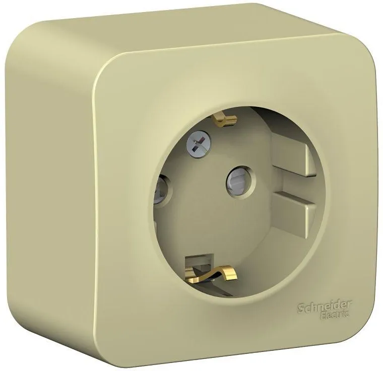 Розетка 1-м ОП Blanca 16А IP20 250В с заземл. защ. шторки с изолир. пластиной беж. SE BLNRA011117 - Фото 2