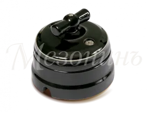 Выключатель ретро проходной фарфоровый поворотный на 2положения в комплекте с подъемной рамкой, 10А GE70404-52