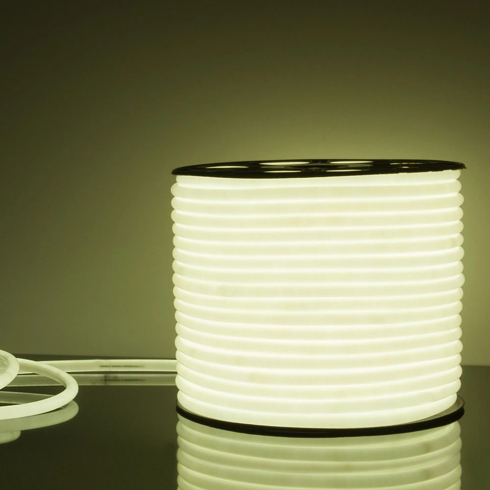 Гибкий неон светодиодный 220V 9,6W 144Led 2835 IP67 круглый холодный белый, 50 м Elektrostandard