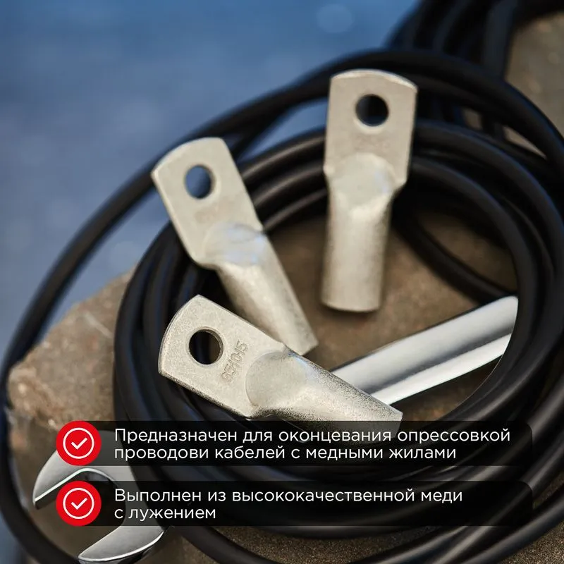 Наконечник медный луженый ТМЛ 95–10–15 (95мм² - Ø10мм) ГОСТ 7386-80 (в упак. 25 шт.) REXANT - Фото 2