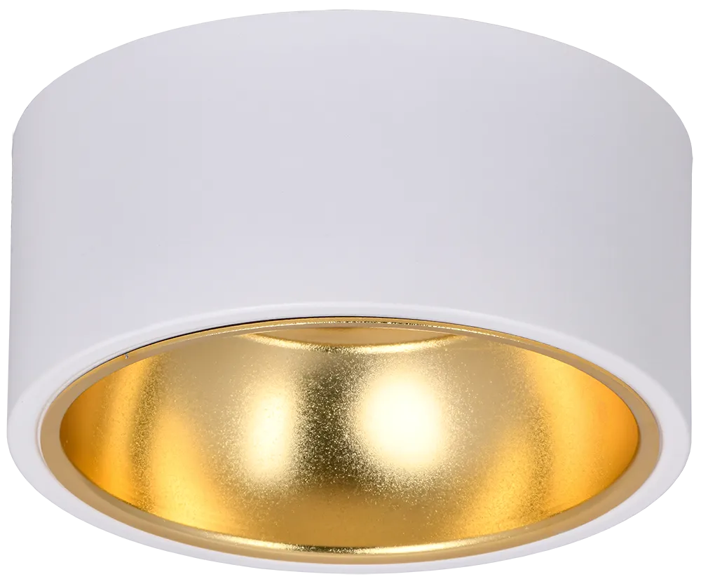 LIGHTING Светильник 4017 накладной потолочный под лампу GX53 белый/золото IEK
