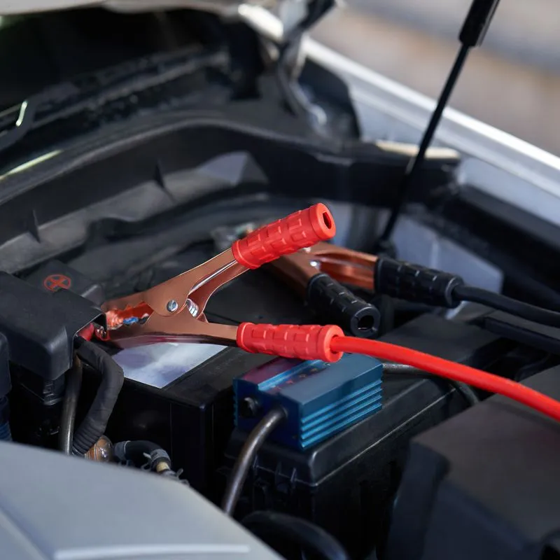 Провода прикуривания 500А, в чехле на молнии REXANT - Фото 2