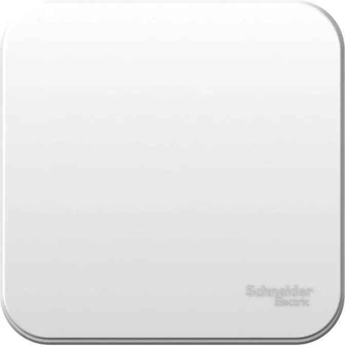 Выключатель 1-кл. ОП Blanca 6А IP20 (сх. 1) 250В бел. SE BLNVA061001