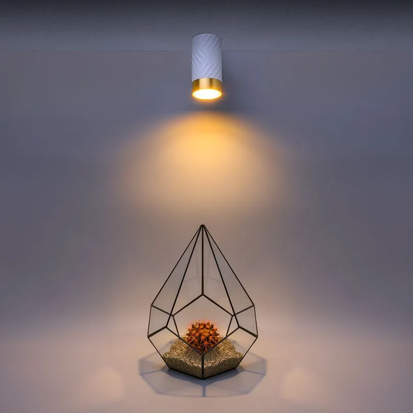 Накладной светильник WOLTA WSL-GU10/09WG IP20 под лампу GU10 Белый/золото LINEA D55x100 1/100 - Фото 2