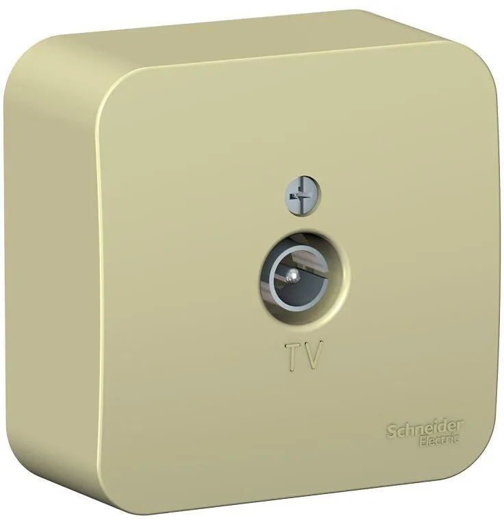 Розетка телевизионная TV ОП Blanca коннектор с изолир. пластиной беж. SE BLNTA000017 - Фото 2
