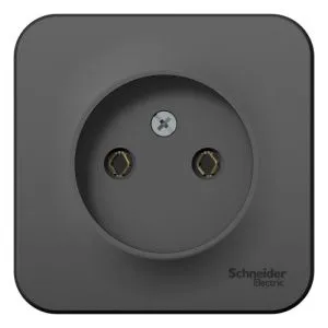 Розетка 1-м ОП Blanca 16А IP20 250В без заземл. без защ. шторок антрацит SE BLNRA000106 1210614