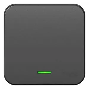 Выключатель 1-кл. ОП Blanca 10А IP20 (сх. 1) 250В с подсветкой с изолир. пластиной антрацит SE BLNVA101116 1210623