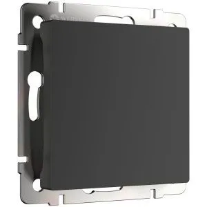 Заглушка (черный матовый) Werkel W1159208