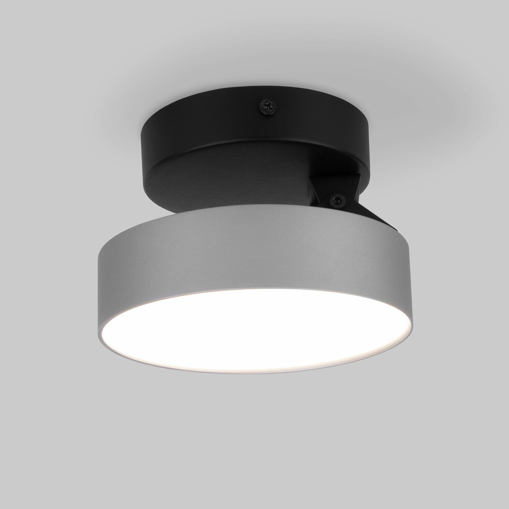 Накладной светодиодный светильник Pila серебро 12W 4200К 25135/LED Elektrostandard - Фото 2