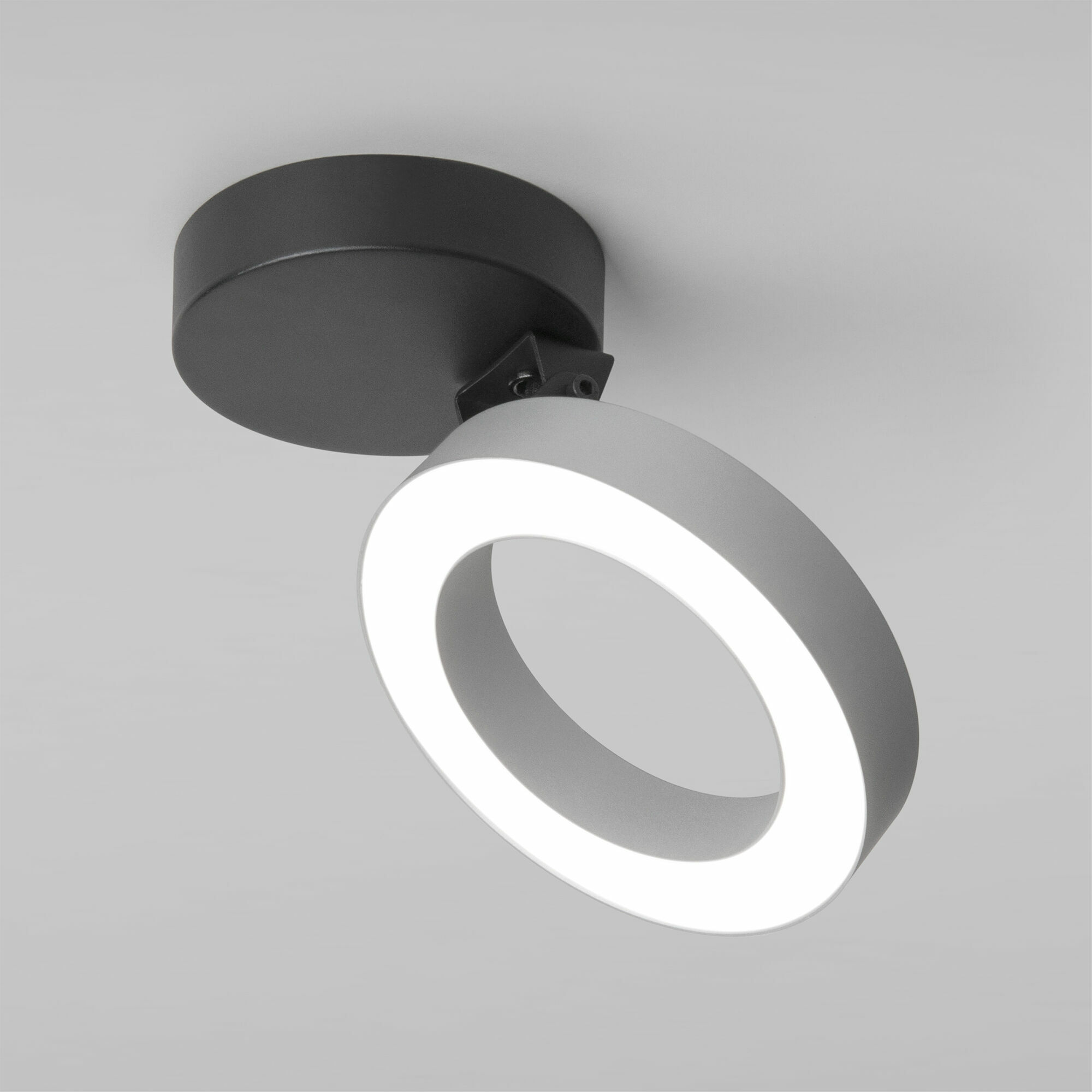Накладной светодиодный светильник Spila серебро 12W 4200К 25105/LED Elektrostandard - Фото 2