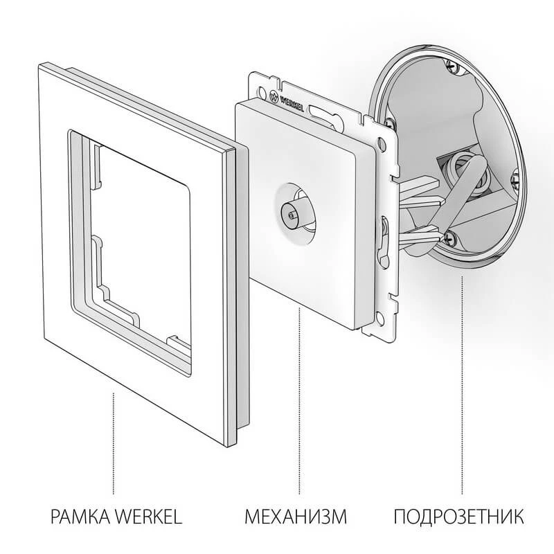 ТВ-розетка оконечная (глянцевый никель) Werkel - Фото 2