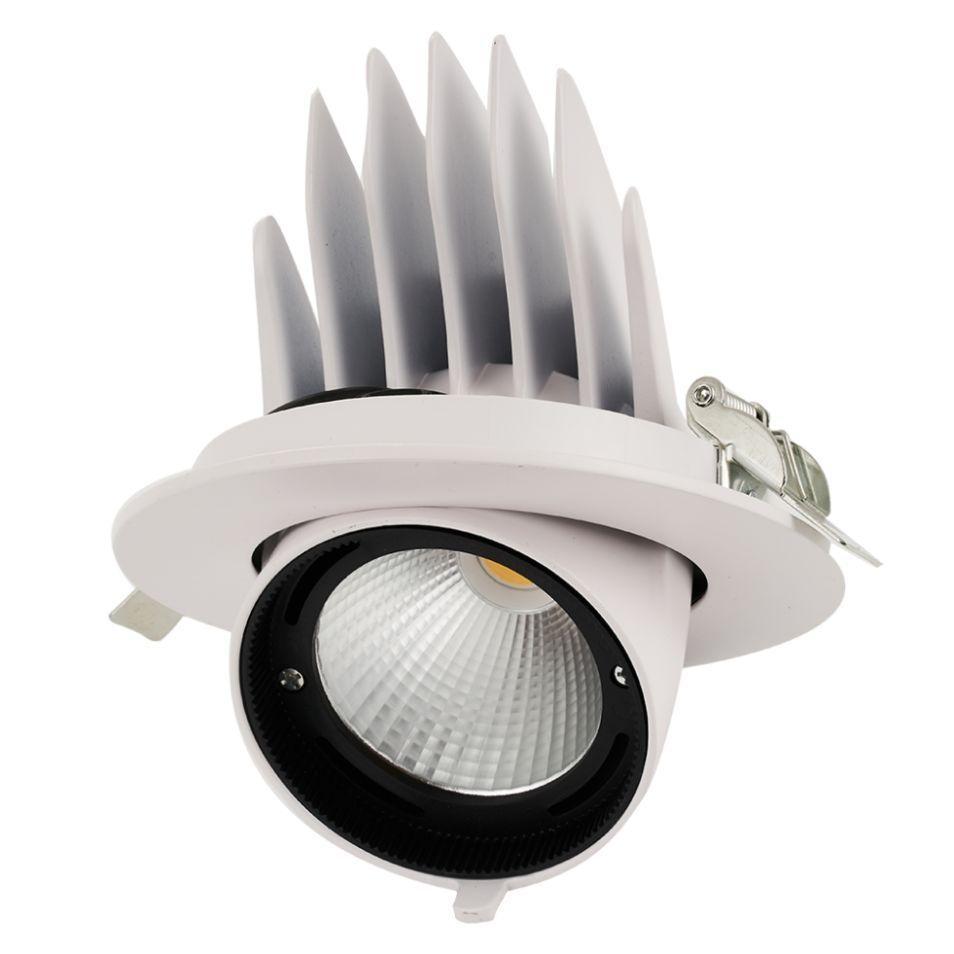 Панель светодиодная встраиваемая круглая PLED DL4 40W 4000K 24° поворот  White  IP40 Jazzway