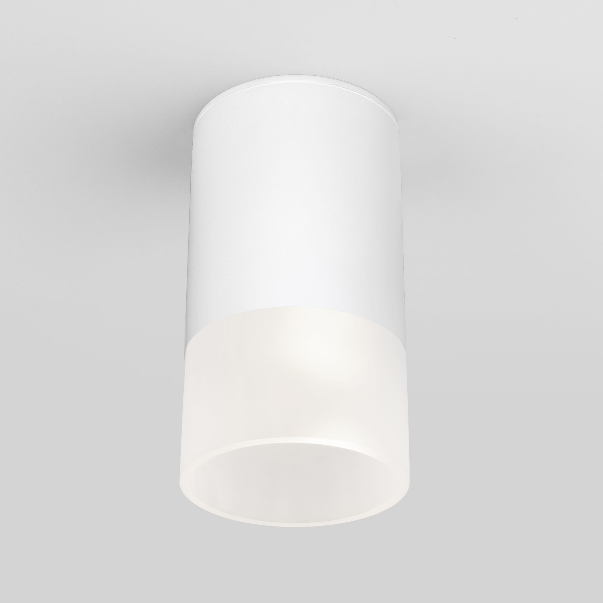 Светильник уличный потолочный Light LED 2106 IP54 35139/H белый Elektrostandard