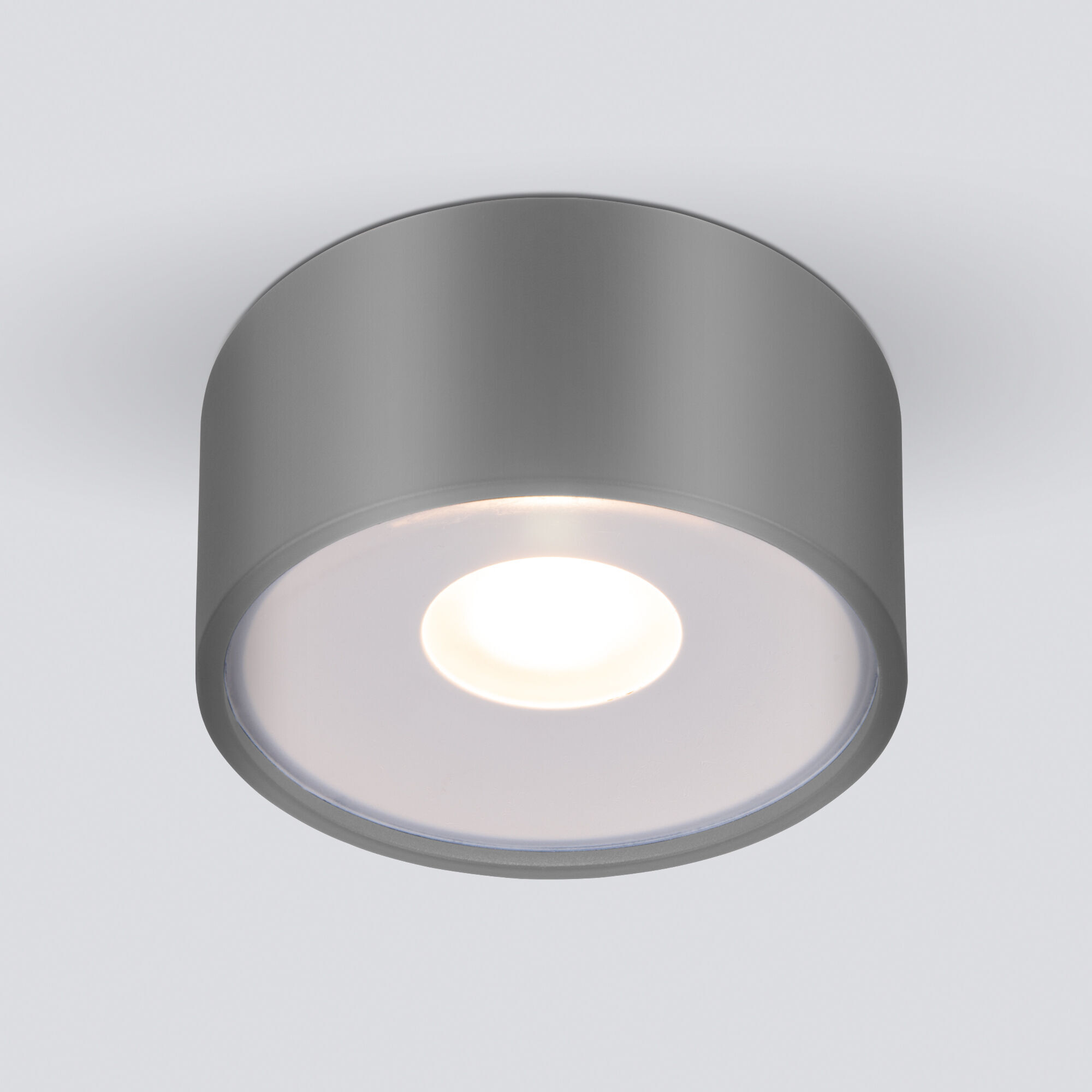 Светильник уличный потолочный Light LED 2135 IP65 35141/H серый Elektrostandard