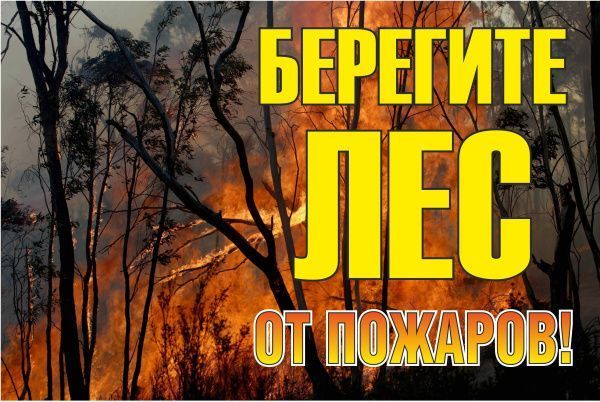 Знак металл "Берегите лес от огня!" (800x1200) EKF