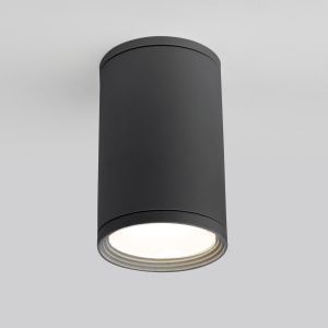 Светильник уличный потолочный Light 2101 IP65 35128/H серый Elektrostandard a056227