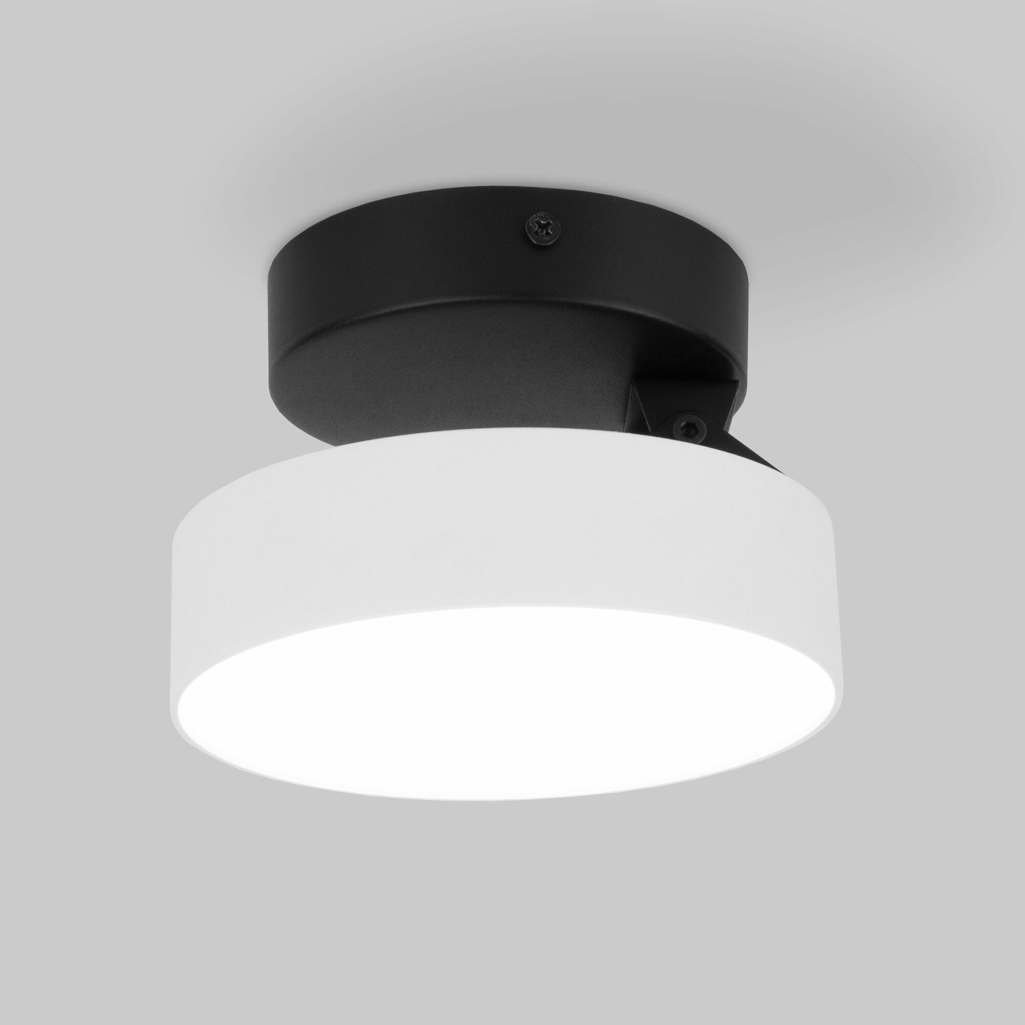 Накладной светодиодный светильник Pila белый 12W 4200К 25135/LED Elektrostandard - Фото 2