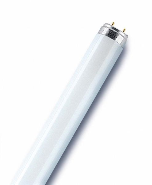 Лампа люминесцентная L 36W/765 36 Вт Т8 6500К G13 OSRAM