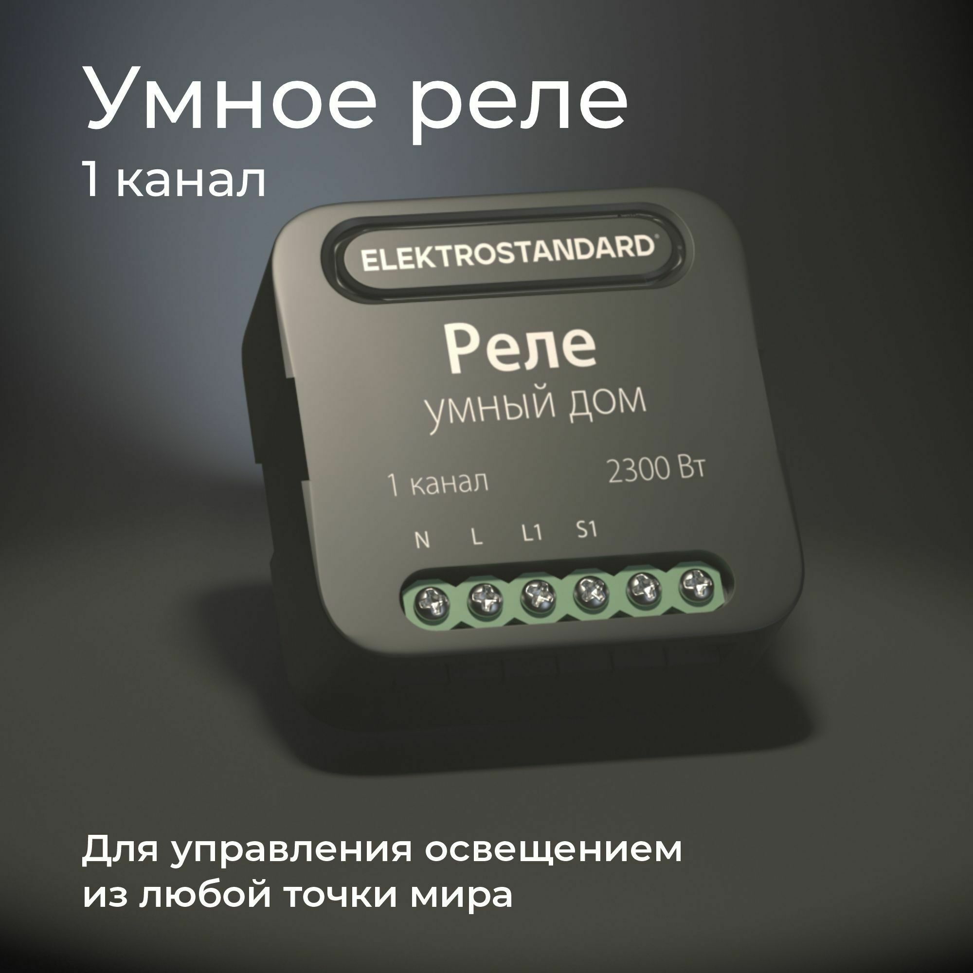 Умное одноканальное реле 76006/00 Elektrostandard - Фото 2