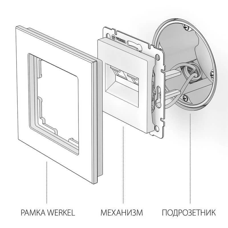 Розетка двойная Ethernet RJ-45 (черный матовый) Werkel - Фото 2