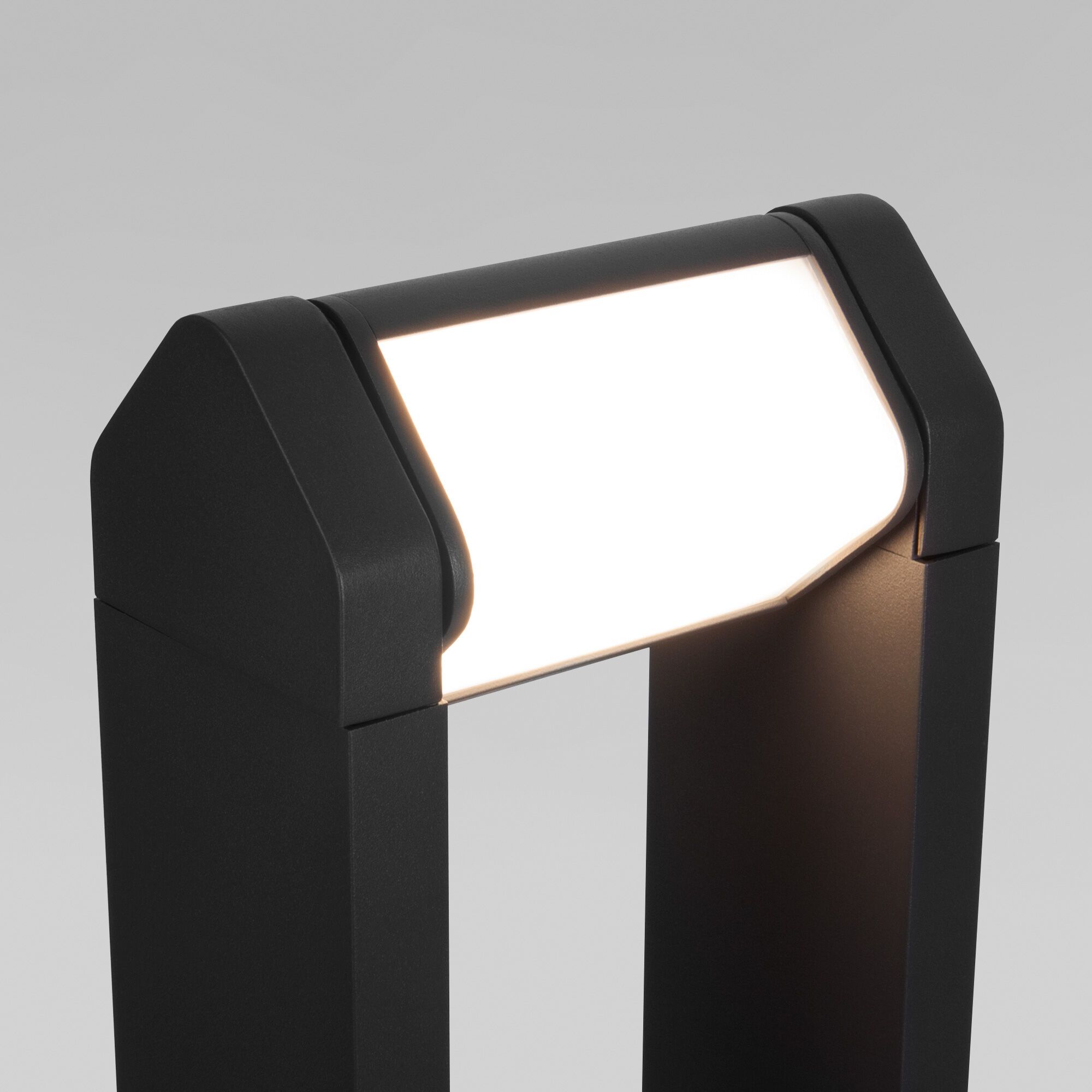 Светильник садово-парковый со светодиодами DORS F LED 35163/F черный Elektrostandard - Фото 2