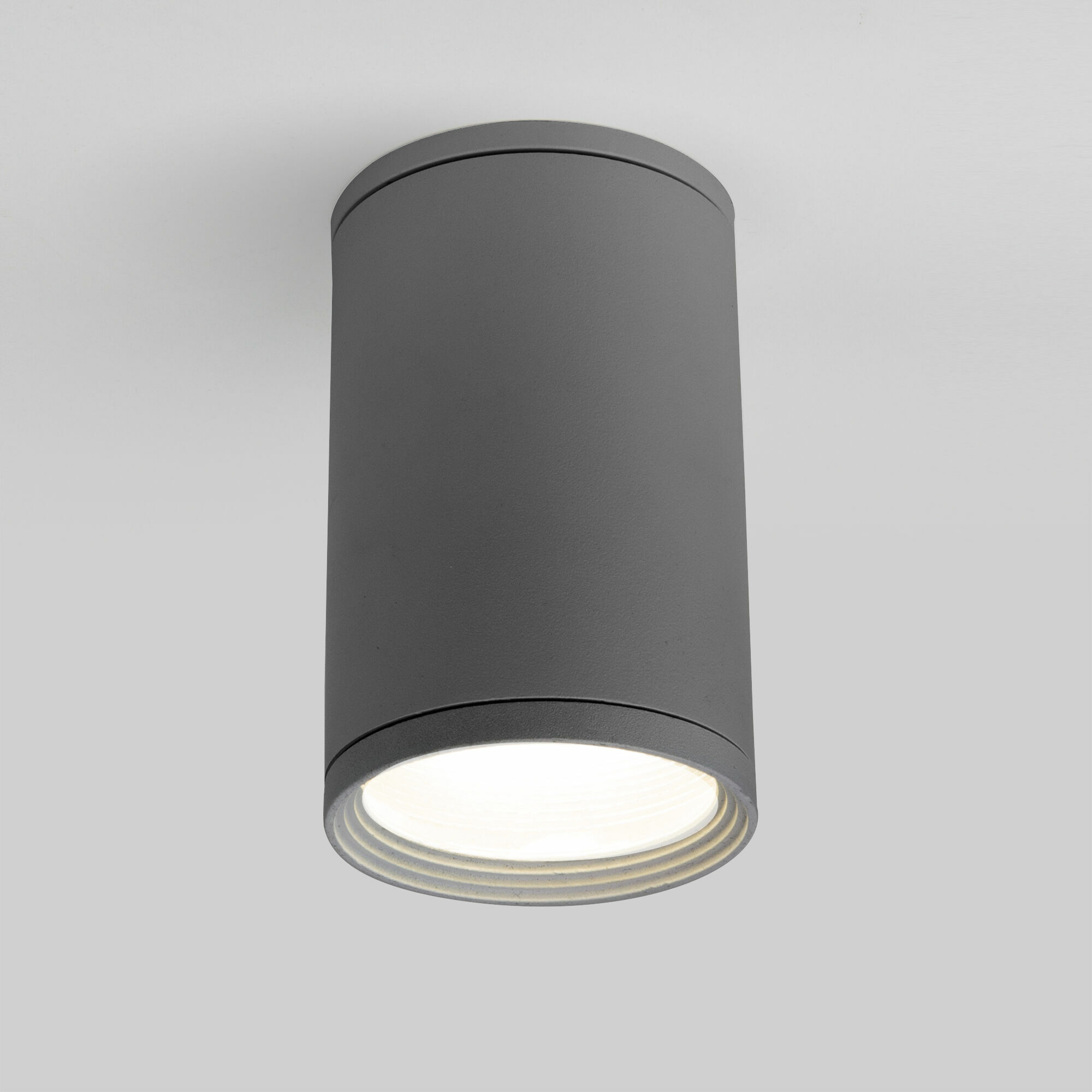 Светильник уличный потолочный Light 2101 IP65 35128/H серый Elektrostandard